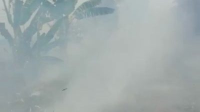WARGA CANDI MULYO JOMBANG GEMPAR KARNA KEBAKARAN SAWAH “DISENGAJA” YANG BERJARAK HANYA 6 METER DARI PERUMAHAN