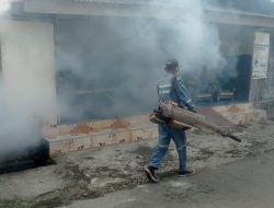 DARURAT DBD PEMDES PALREJO TANGGAP FOGGING SECARA MASIF