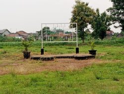 ALIH FUNGSI SEMENTARA LAPANGAN OLAHRAGA MENJADI LAHAN JAGUNG DI KADEMANGAN MOJOAGUNG JOMBANG