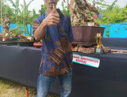 KOMUNITAS DI BANGKALAN ADAKAN KONTES BONSAI