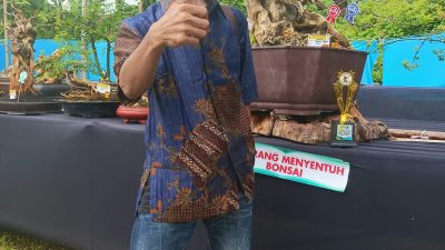 KOMUNITAS DI BANGKALAN ADAKAN KONTES BONSAI