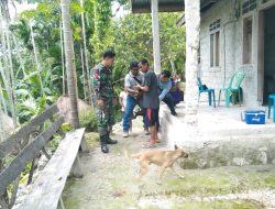 Dampingi Petugas Dinas Peternakan, Babinsa Koramil 05/Panite Laksanakan Pendampingan Vaksinasi Hewan