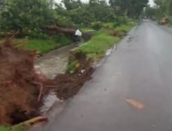 ANGIN PUTING BELIUNG DI TEMBELANG JOMBANG