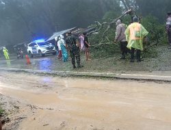 Babinsa Koramil 01/Kota So’E bersama Anggota Polres TTS Dibantu Warga Berhasil Evakuasi Pohon Tumbang