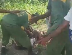 2 OKNUM ANGGOTA LINMAS DI DESA NAIP KELUARKAN JURUS KUNGFU, MENGAKIBATKAN SUAMI ISTRI BABAK BELUR