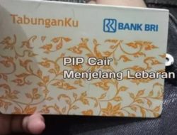 Dana PIP Cair di Bulan April, Begini Cara Ceknya !!