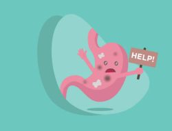 Fungsi Lambung dan Cara Merawatnya