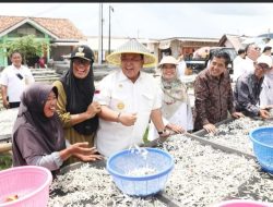Mulai dari Pengelolaan Perikanan Tangkap/Kegiatan Restocking hingga Program Asuransi Nelayan Berjaya (ANB), Dinas Kelautan dan Perikanan Berhasil dalam Jabarkan 33 Janji Kerja Gubernur