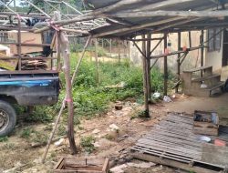 Pasar Kalangan Semangus Kabupaten Penukal Abab Lematang Ilir Masih Tidak Tertib dan Tak Terurus
