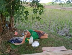 Orang Terlantar Hidup di Bantaran Sungai Brantas Dusun Jatisari Desa Gebangbunder Plandaan Jombang Butuh Cepat Ditangani oleh Pihak Dinas Sosial