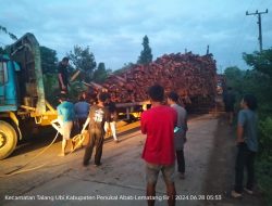 Mobil Angkutan Kayu PT. MHP Terlintang di Jalan Raya Membuat Kemacetan di Desa Sungai Baung
