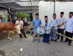 Mas Aaf Walikota Pekalongan Serahkan Hewan Qurban ke Sejumlah Masjid di Kota Pekalongan