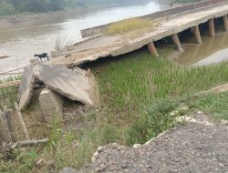 Warga Desa Kasai Tanam Padi di Tengah Jalan Ambles yang Tak Kunjung Diperbaiki