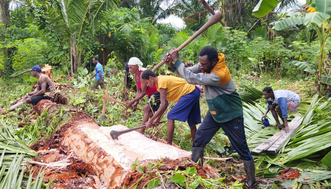 Foto: Proses pangkur sagu dengan menggunakan alat tradisional.