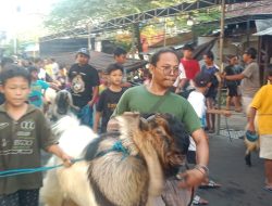 Arak-arakan Hewan Qurban ala Warga Kalitutup Gresik