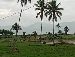 Pesona Alam Desa Passo di Minahasa yang Belum Terjamah Investor