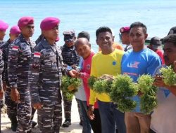 Membangun Potensi Maritim Bersama Prajurit Yonmarhanlan VII Kupang melalui Panen Raya Rumput Laut di Kampung Bahari Nusantara