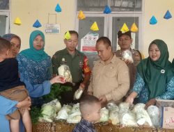 Pemerintah Desa Alai Mensosialisasikan dan Sukseskan Kegiatan Pekan Imunisasi Nasional Polio