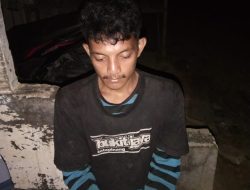 Penangkapan Maling Brondolan di PT Torganda Simangambat Padang Lawas Utara