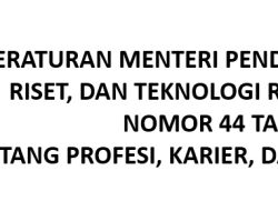 Perspektif Dosen PTS terhadap Permendikbud Ristek No. 44 Tahun 2024: Tunjangan Guru Besar Perguruan Tinggi Swasta, Siapa yang Bayar?