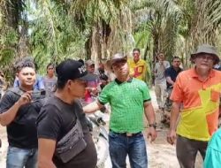 Perusahaan Aek Natio Grup Kembali Mencoba Masuk ke Lahan Perkebunan Milik Masyarakat Kelompok Tani Aek Nabara Barumun Padang Lawas