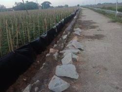 KEGIATAN TURAP DI DESA DUKUHKARYA RENGASDENGKLOK KARAWANG