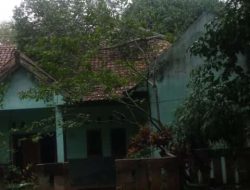 Pohon Tumbang di Tigaraksa Tangerang