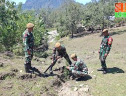 Prajurit TNI di Perbatasan Rayakan HUT Arhanud ke-78 dengan Aksi Penghijauan di Haumeniana
