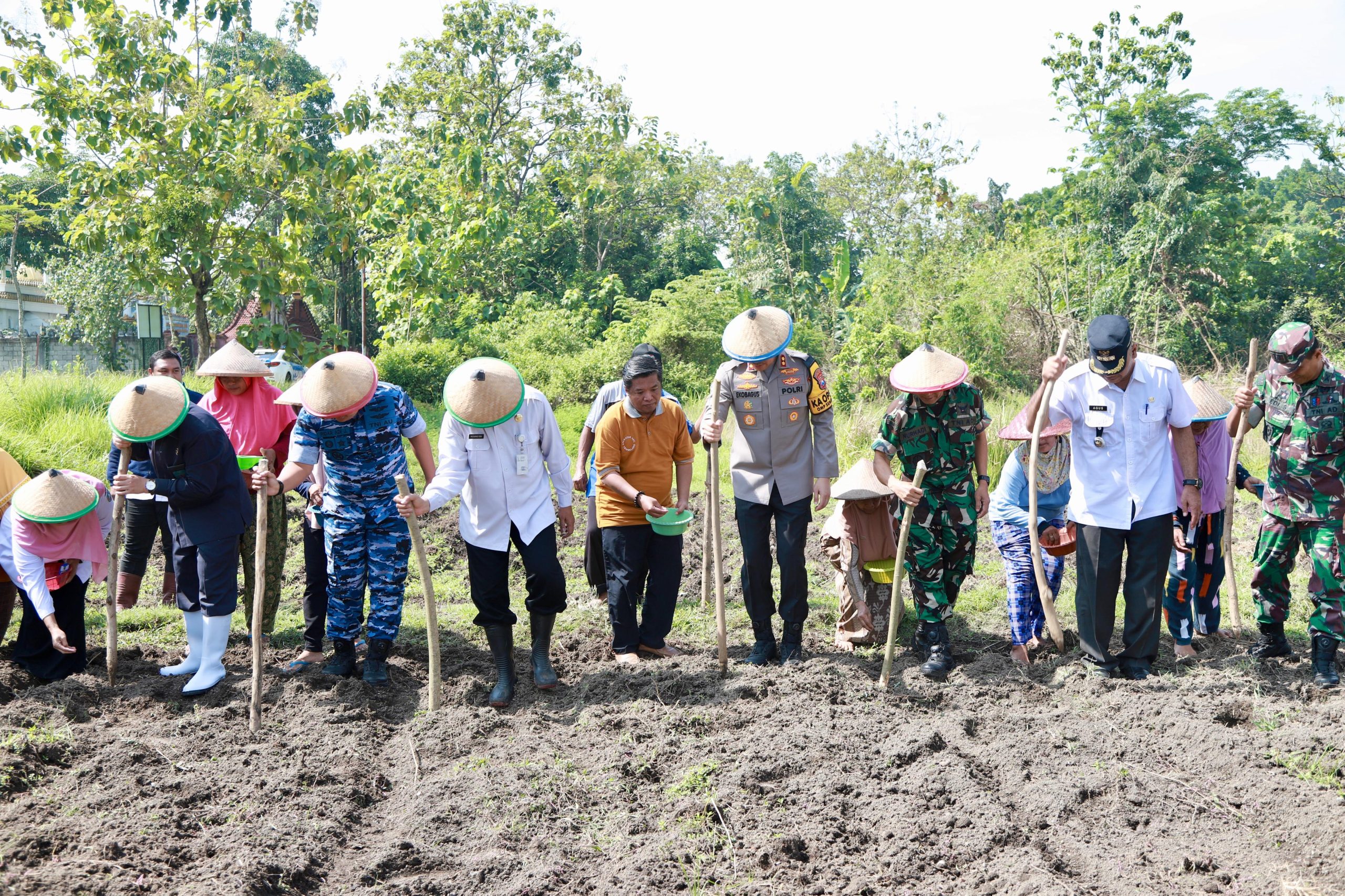Foto: Penanaman jagung oleh Kapolres Jombang, Kadis Pertanian, dan Tiga Pilar Kamtibmas Kec. Tembelang.