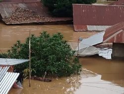 Hujan Lebat di Padang Lawas Sumatera Utara Sebabkan Banjir dan Longsor