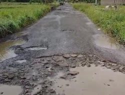 MASYARAKAT PROVINSI LAMPUNG KECEWA KARENA TIDAK ADA PERBAIKAN JALAN