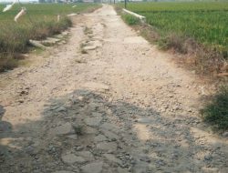 WARGA DAN PEMUDA AKAMSI KEC. SUKATANI KAB. BEKASI KECEWA DENGAN PEMERINTAH: TIDAK ADA PERBAIKAN JALAN SELAMA PULUHAN TAHUN