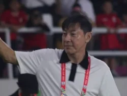 Shin Tae Yong Resmi Dipecat PSSI, Ini Alasannya