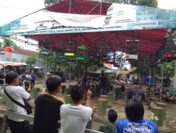 KOPDAR SILATURAHMI PECINTA CUCAK HIJAU RENGASDENGKLOK OBC FEAT BNR KARAWANG