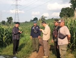 TANGGAP DUGAAN TEBU LIAR, PERHUTANI DIVRE JATIM CEK LOKASI DI JOMBANG