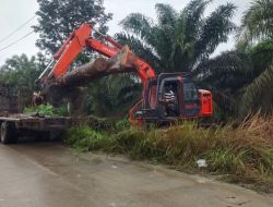 PUTUSNYA JEMBATAN SEPANJANG 8 METER DI TUNGKAL ULU