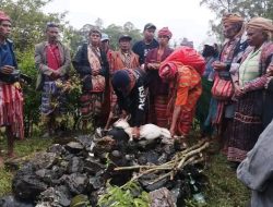 Gunung Mutis: Perlawanan Adat Melawan Status Taman Nasional
