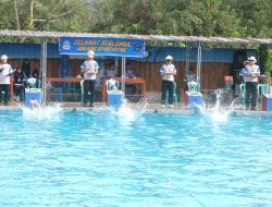 Setia Akuatik Swimming Club Gelar Kejuaraan Renang antar Club