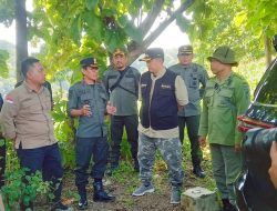 SUKSESKAN PROGRAM KETAHANAN PANGAN, PERHUTANI BERSAMA PEMKAB JOMBANG GERAK CEPAT