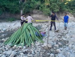 Ayah di TTS Tega Habisi Nyawa 2 Anak Kandungnya