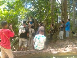 Ritual Mistis Suku Son: Doa dan Gosok Jagung untuk Tolak Bala