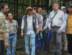 Kasus Ladang Ganja di Taman Nasional Bromo Berlanjut ke Pengadilan