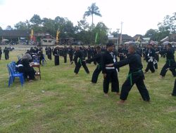 Ujian Kenaikan Tingkat PSHT Klaten Dorong Peningkatan Kemampuan dan Kesadaran Budaya