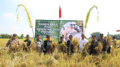 Jombang Ikut Sukseskan Panen Raya Serentak Bersama Presiden Prabowo