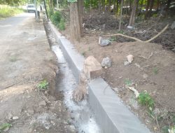 Proyek Drainase di Desa Pesanggrahan Situbondo Disorot Warga, Diduga Asal-Asalan
