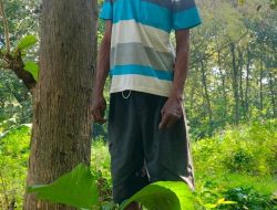 Lansia Ditemukan Gantung Diri di Hutan Sukodadi Jombang