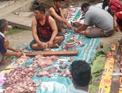 Penyembelihan Hewan Kurban RT 01 RW 12 Gunung Sindur Berlangsung Guyub