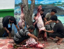 Muhammadiyah Durian Laksanakan Kurban Bersama SD Muhammadiyah 13 Medan