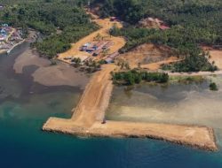 KLHK Cabut Izin Pinjam Pakai Kawasan Hutan Milik PT GKP di Pulau Wawonii