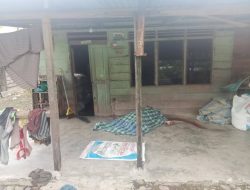 Pembunuhan Brutal di Aceh Tenggara: Lima Orang Tewas, Satu Luka Parah